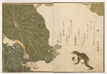Frösche und goldener Käfer, 1788